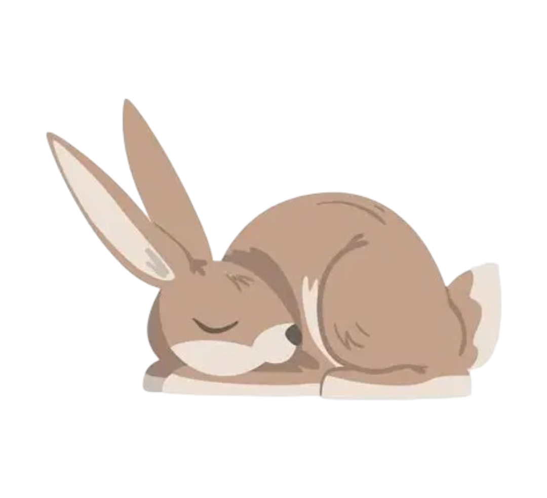 hare-sleeping