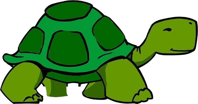 tortoise